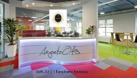 Soft 33 Danışma Bankosu